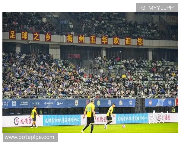 足球明星欢庆时刻精彩瞬间合集展现激情与荣耀