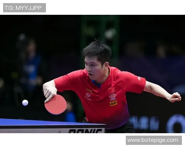 南京排球队战术分析与表现评估大满贯点评